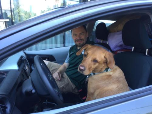 Chewie driving home the newlyweds